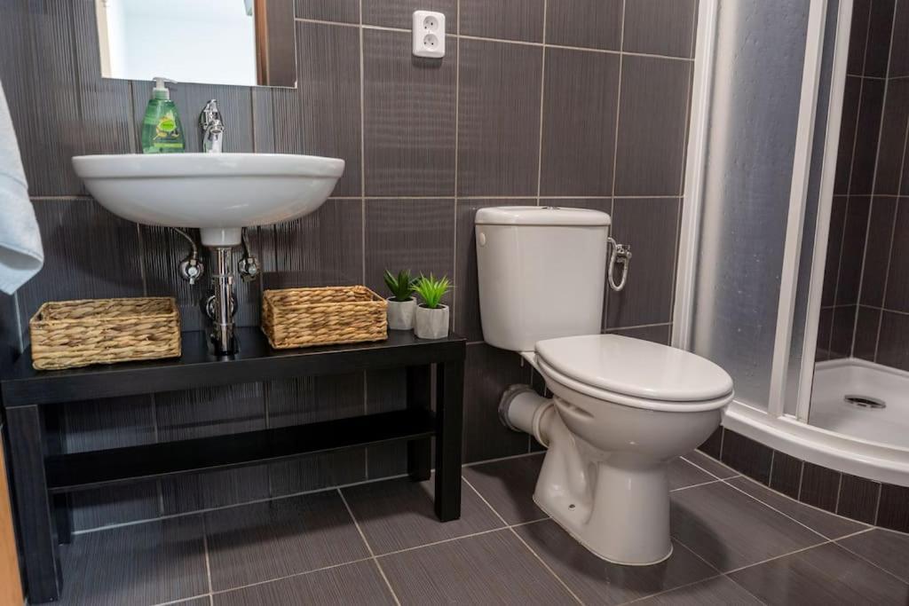 Byt Krenova 1+Kk Brno Exteriör bild